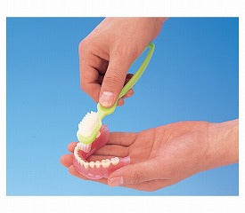 入れ歯洗浄ブラシ 10742 ピジョン (口腔ケア) 介護用品