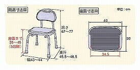 アロン化成 安寿 シャワーベンチ CPE-N 背もたれ付き 536-300 536-302 （介護用 風呂椅子 介護 浴室 椅子） 介護用品