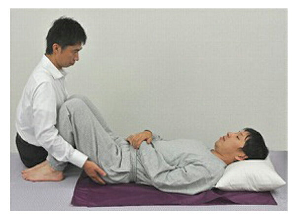 トランスファーシートS　000-35-004 ウェルファン (介護 スライディングシート 移乗シート) 介護用品