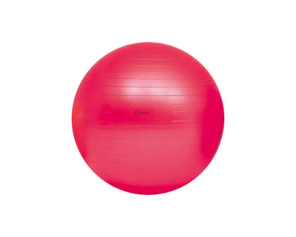 ボディーボール55 / H-7261　赤 トーエイライト