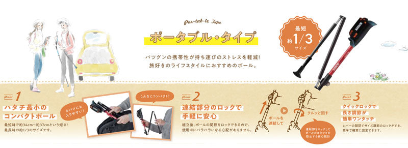 杖 ステッキ おしゃれ DFP ポータブルセクター2　2本1組 WH1181 羽立工業 ウォーキングポール ウォーキング 折りたたみ 介護用品