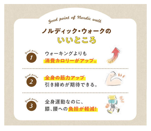 杖 ステッキ おしゃれ DFP ポータブルセクター2　2本1組 WH1181 羽立工業 ウォーキングポール ウォーキング 折りたたみ 介護用品
