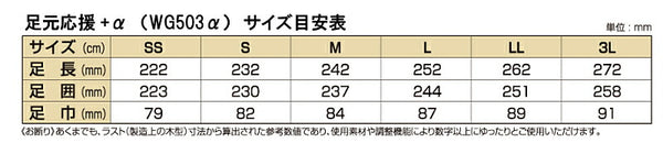 介護シューズ レディース メンズ おしゃれ 足元応援 αシリーズ WG503α 男女兼用 マリアンヌ製靴 (介護 靴 抗菌 室内用 シューズ つま先全開 リハビリ) 介護用品