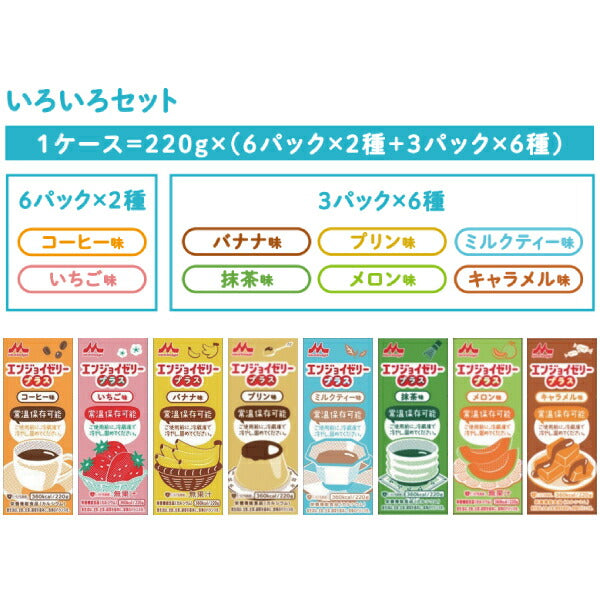 介護食 8種30個 セット デザート エンジョイゼリープラス いろいろセット 各220g 2種×6 6種×3 クリニコ 介護用品