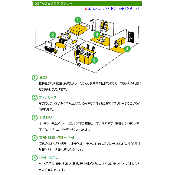 (施設・法人様限定) 1ケース 代引き不可 G2TAMαPLUS 300ml 36本 感染対策商品 感染対策用品 インフルエンザ 除菌 スプレー 業務用 消臭 抗菌 除菌 抗カビ剤 ノロウィルス 対策 介護用品